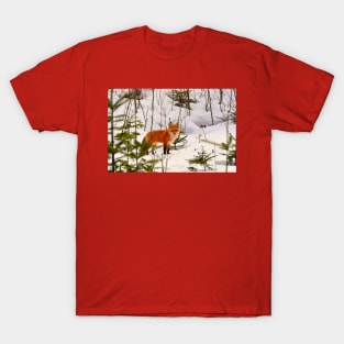 Winter Fox T-Shirt